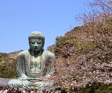 Yangon – Tokyo – Osaka – Kyoto – Nara – Osaka – Tokyo – Yangon